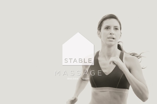 stablemassage theme websites examples