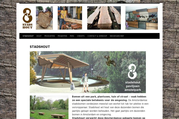 Site using Elementor-pro plugin