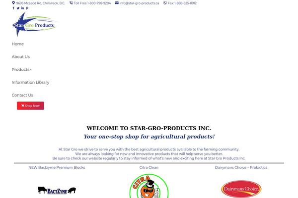 The7 theme site design template sample