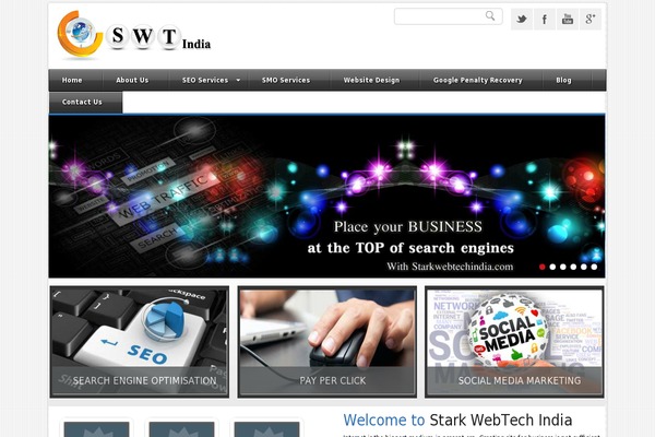 starkwebtechindia.com site used Seosight