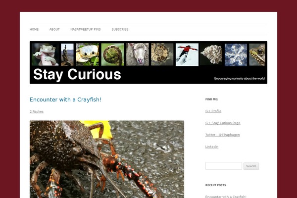 Twenty Twelve theme site design template sample