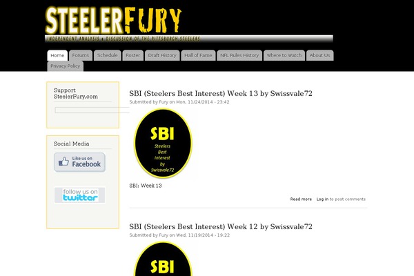 steelerfury.com site used Newspotrika