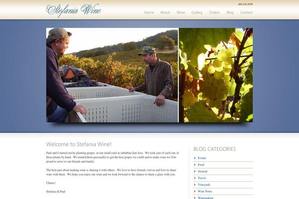 WordPress website example screenshot
