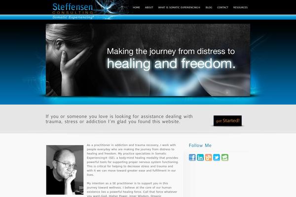 steffensenconsulting.com site used inFocus