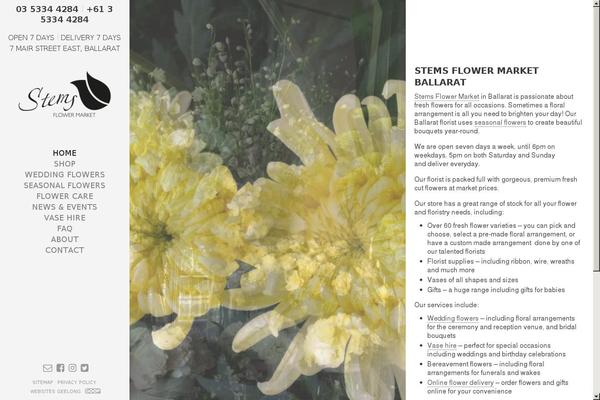 WordPress website example screenshot