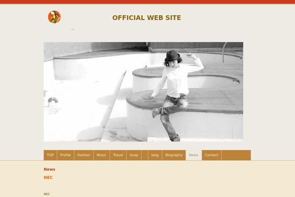 WordPress website example screenshot
