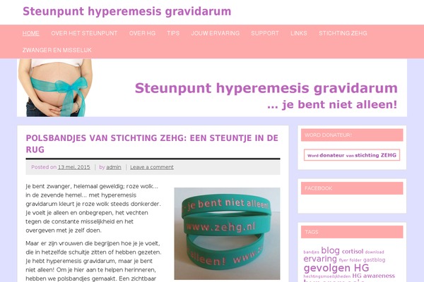 steunpunthg.nl site used zeeDynamic