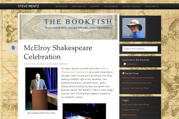 News Pro theme site design template sample