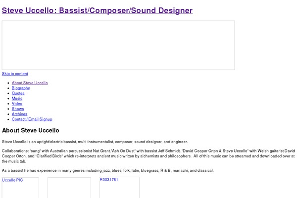 WordPress website example screenshot