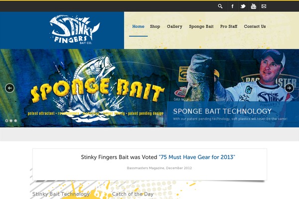 crunch-biz WordPress theme, websites list used crunch-biz theme crunch-biz theme websites examples