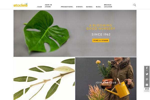 dmn-wp-starter theme websites examples