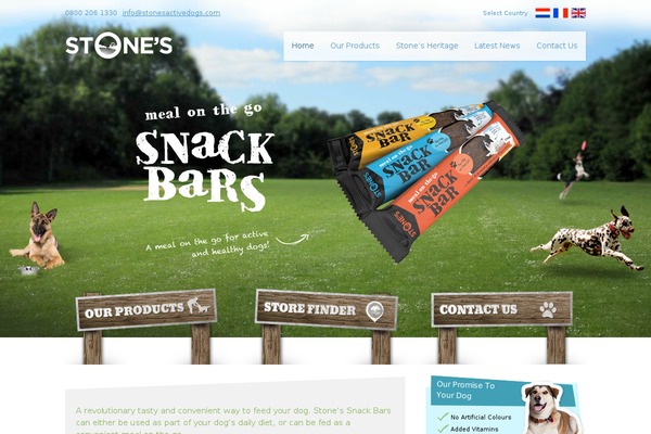 stones WordPress theme, websites list used stones theme stones theme websites examples
