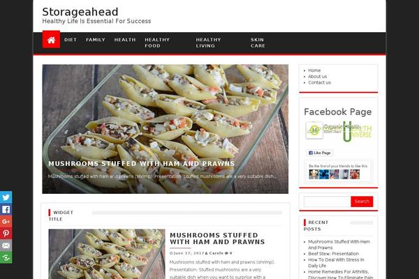 storageahead.com site used Red Mag