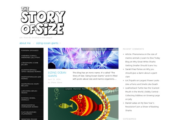 storyofsize.com site used Placid