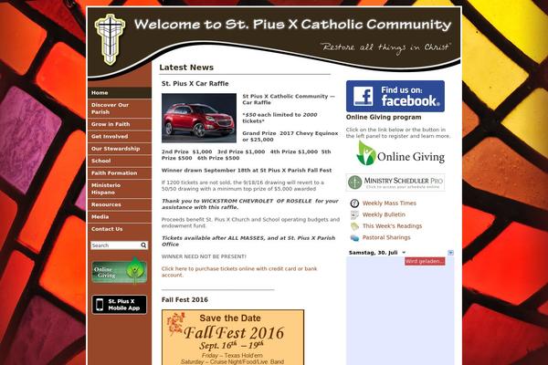 stpius theme websites examples