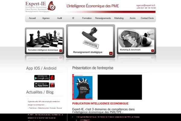 strateg-ie.fr site used Strategie