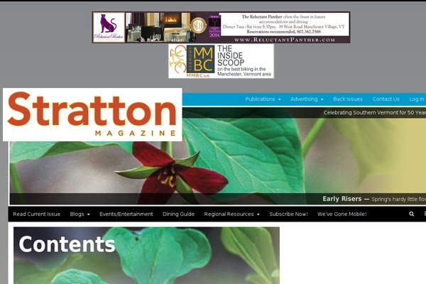 strattonmagazine.com site used Stratton_strap