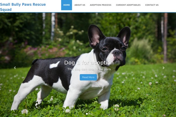 Astra theme site design template sample