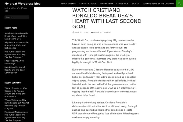 agazine-child-theme theme websites examples