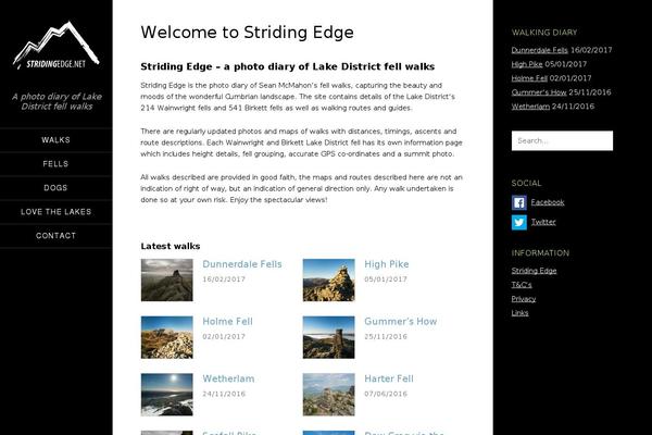 Site theme site design template sample