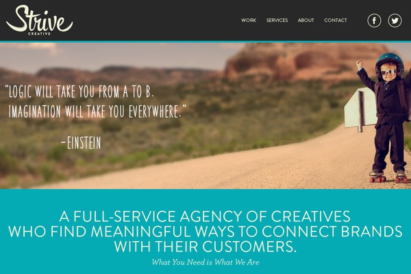 strive WordPress theme, websites list used strive theme strive theme websites examples