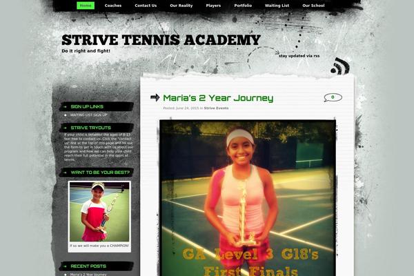 Site using Custom-fonts plugin