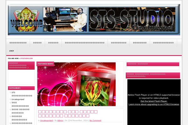 stsstudio.com site used NewsCard