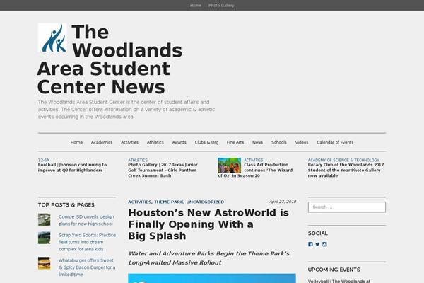 WordPress website example screenshot