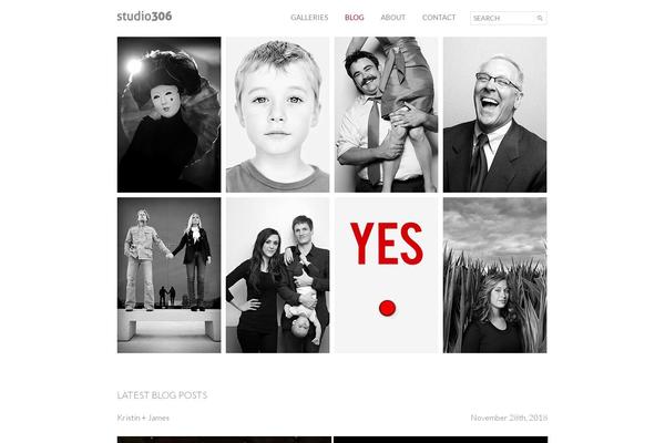 studio306.com site used Studio306-3