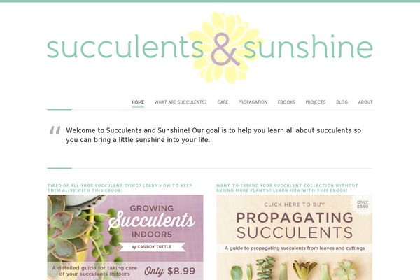 succulentsandsunshine.com site used Succulents-and-sunshine