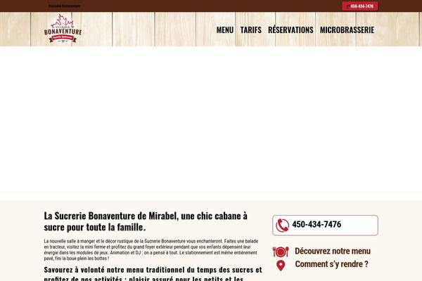 WordPress website example screenshot