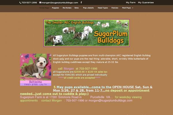 sugarplumbulldogs.com site used Brandefined-divi-child-24