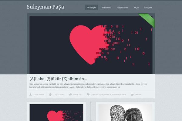 suleyman.net site used Spnet