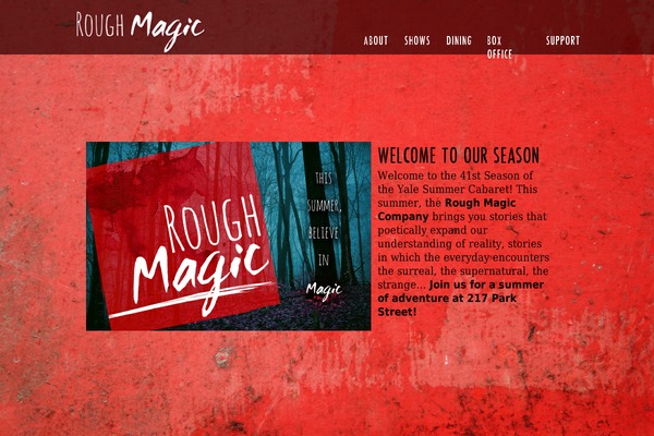 Salient Child theme site design template sample