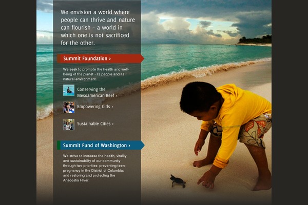 summitfdn.org site used The-summit-foundation