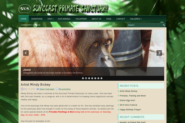 Lemisto WordPress theme, websites list used Lemisto theme Lemisto theme websites examples