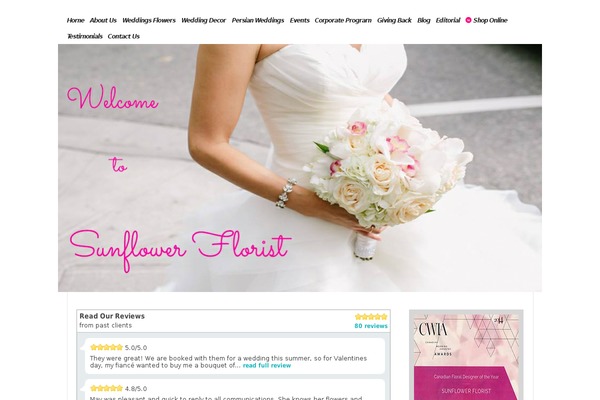 WordPress website example screenshot