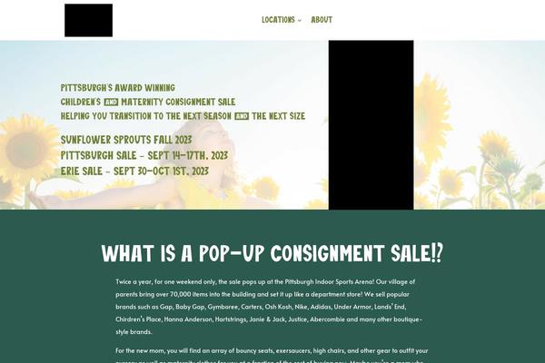 Divi theme site design template sample