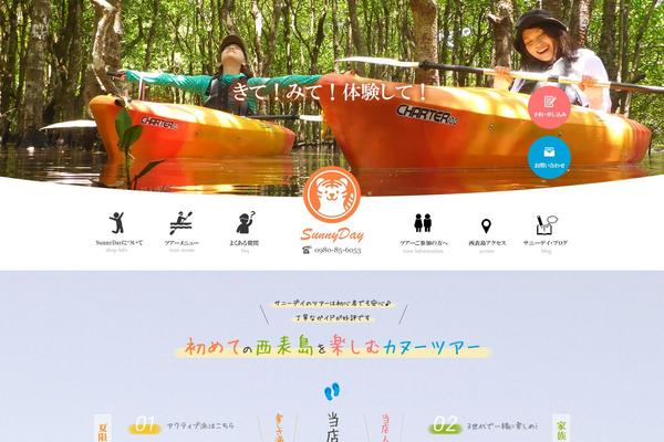 Site using Autoptimize plugin