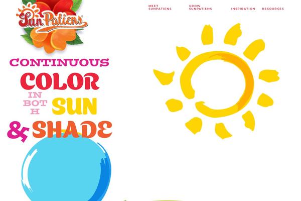 Site using Instagram-feed-pro plugin