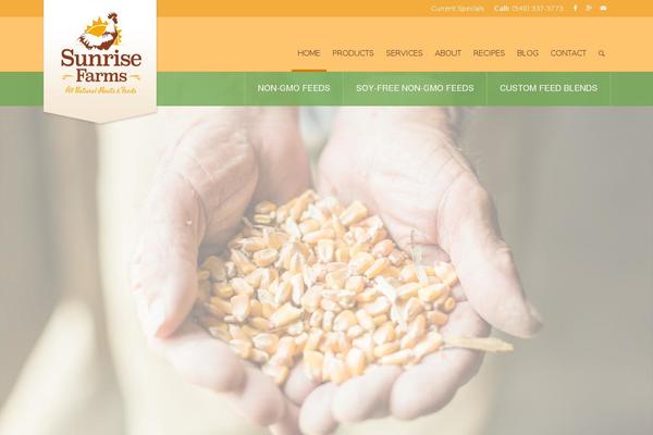 Enfold theme site design template sample