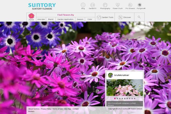 Site using Divi-builder plugin