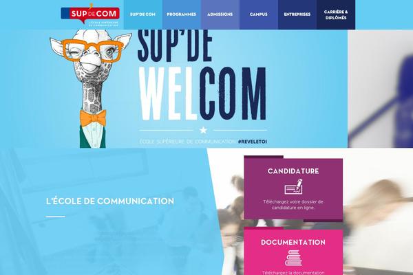 supdecomlyon.net site used Idrac