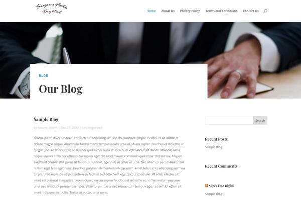 WordPress website example screenshot
