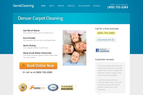 superiorcarpetcleaning.org site used Cleaningservices-divi-child