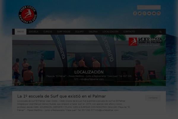 surfelpalmar.com site used Surfy