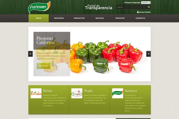 surinver.es site used Surinver