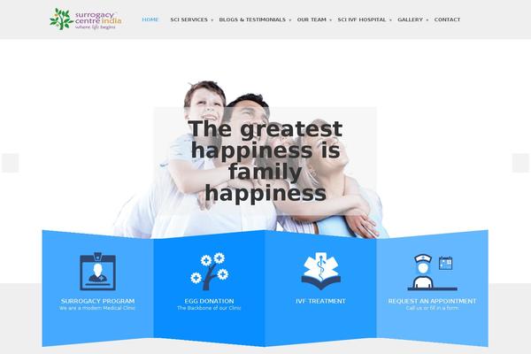 WordPress website example screenshot