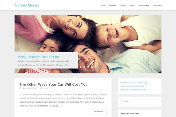 survey-money.com site used Rara Clean
