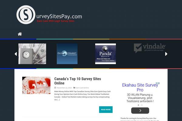 surveysitespay.com site used Lusha